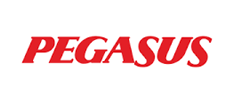 Pegasus